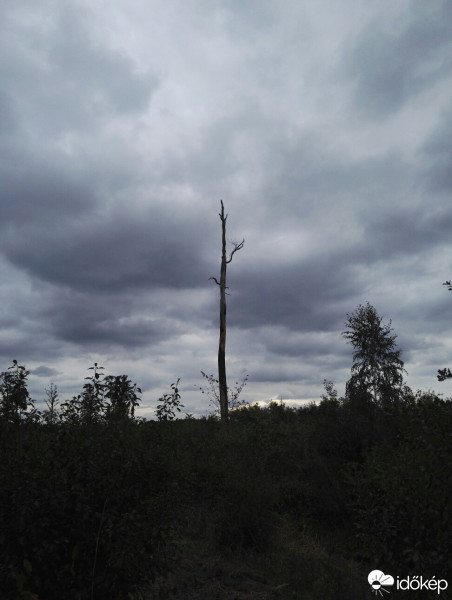 Észlelési fényképek