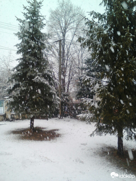 Észlelési fényképek