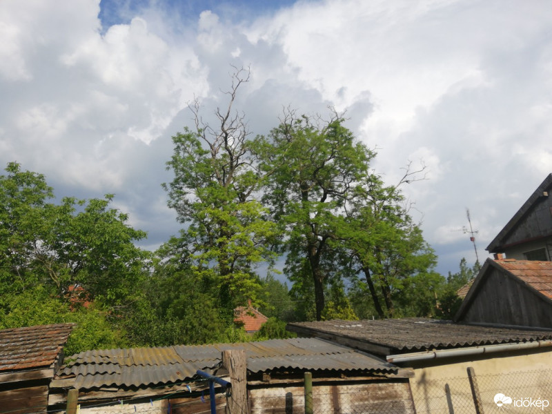 Észlelési fényképek