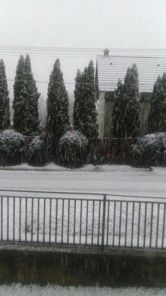 Észlelési fényképek