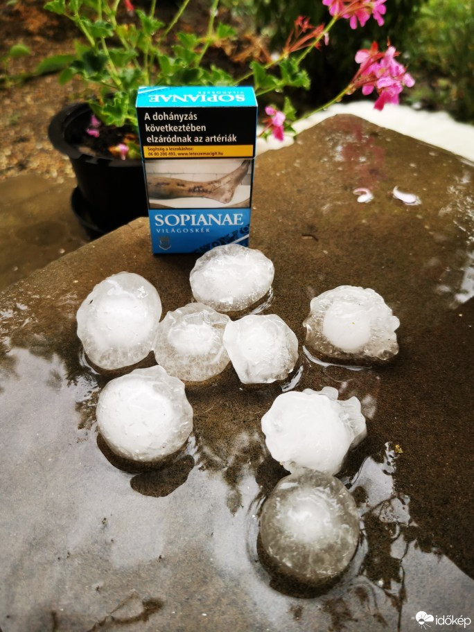 Észlelési fényképek