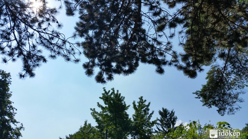 Észlelési fényképek