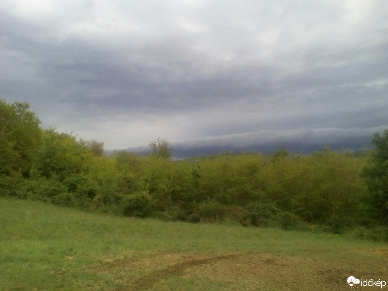 Észlelési fényképek