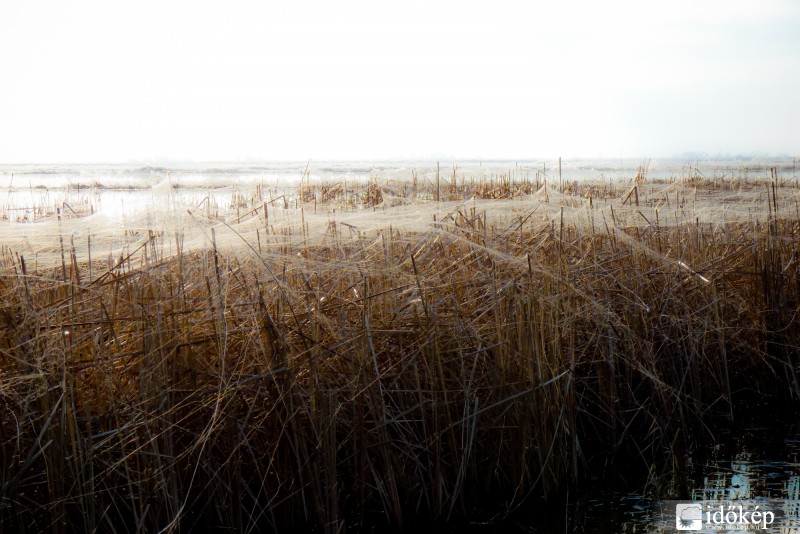 Ökörnyál januárban