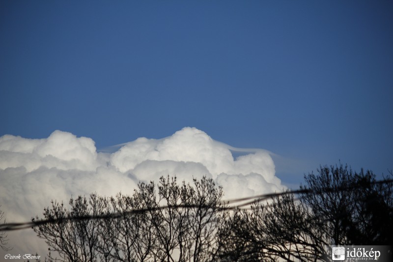 Cumulonimbus pileus 