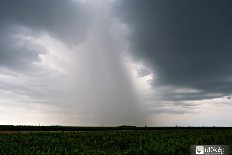 Fejlődő Zivatarcella 