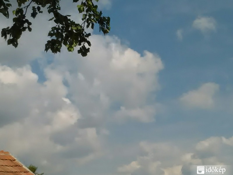 Észlelési fényképek