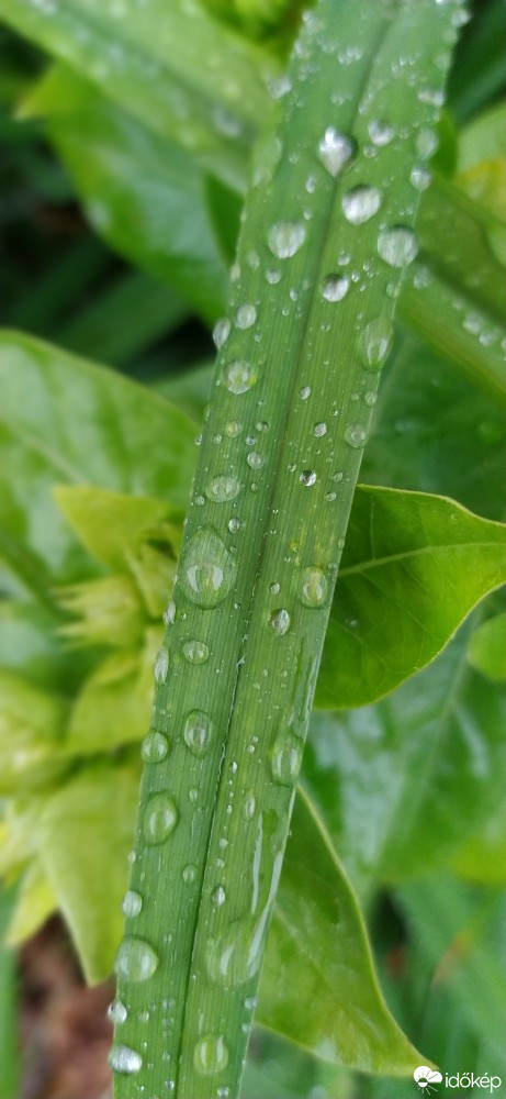 Budapest III.ker - Békásmegyer