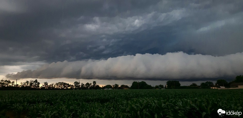 Észlelési fényképek