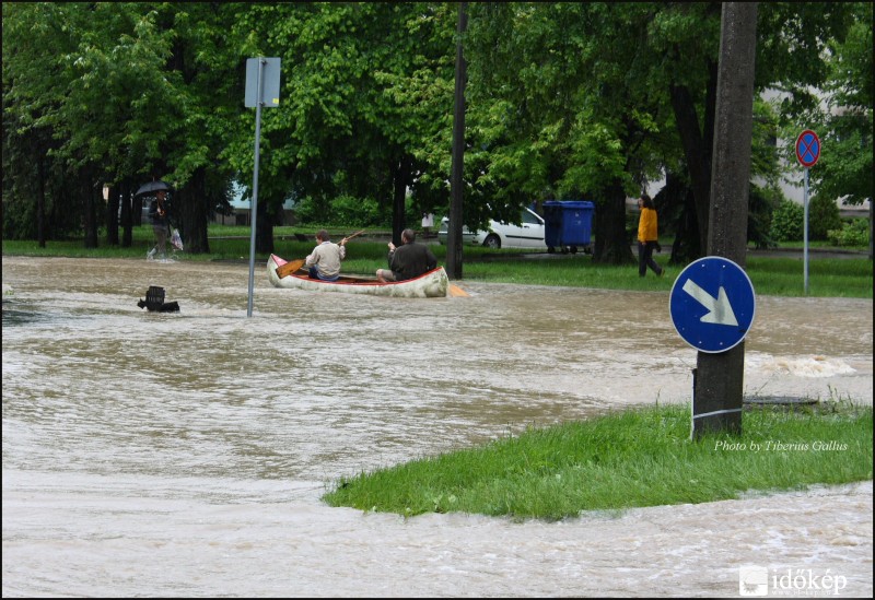 Kajakkala Könyves Kálmán utcában (Miskolc)