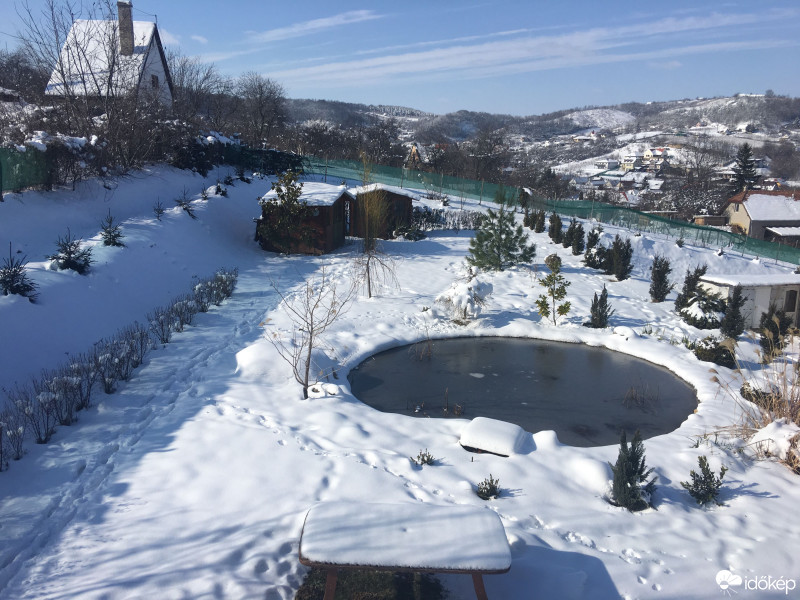 Észlelési fényképek