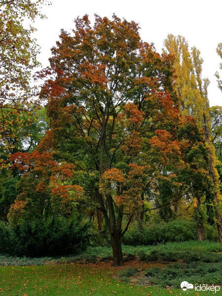 Budapest XIII.ker - Vizafogó