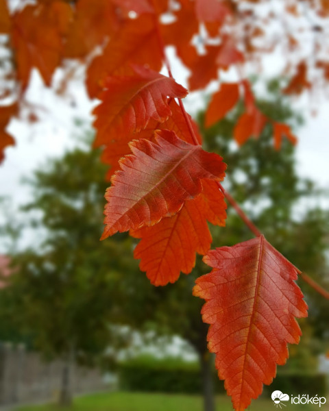 Budapest XXI.ker - Csepel