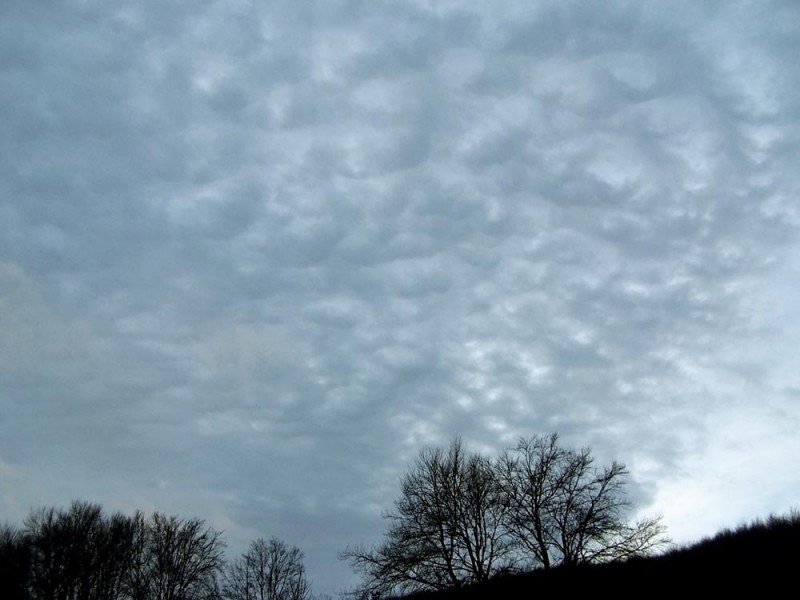 Ac mamma Bükk, 2007.01.15