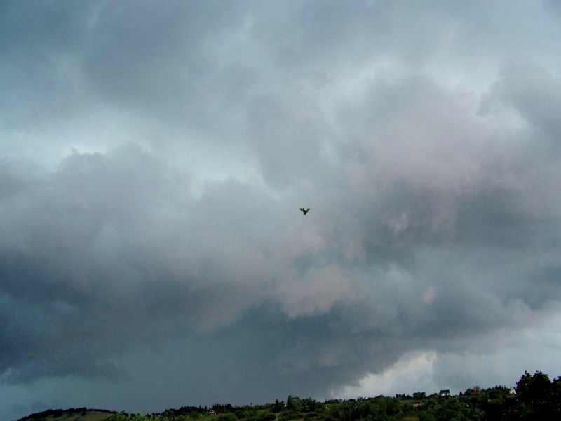 "Famadár", Miskolc, 2008.06.30