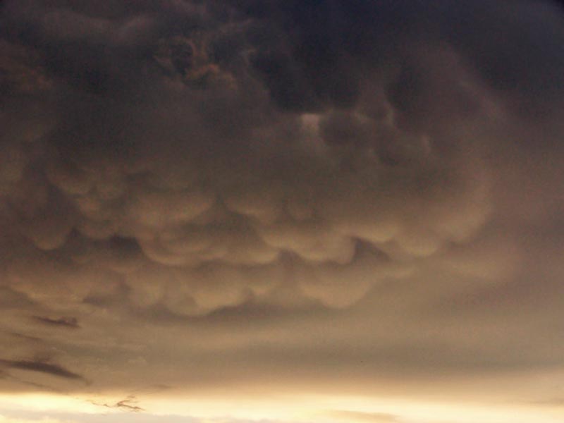 Miskolc, 2008.07.30.