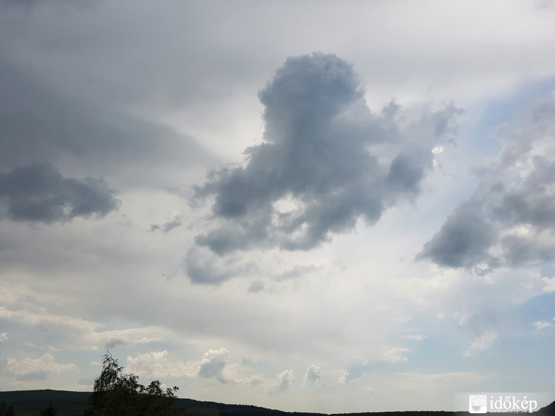 Észlelési fényképek