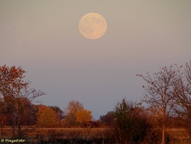 Az év legnagyobb teliholdja