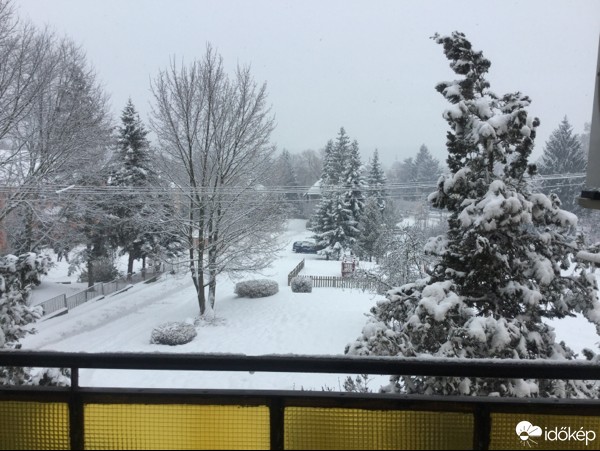 Észlelési fényképek