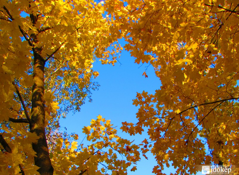 Nézz az ég felé....