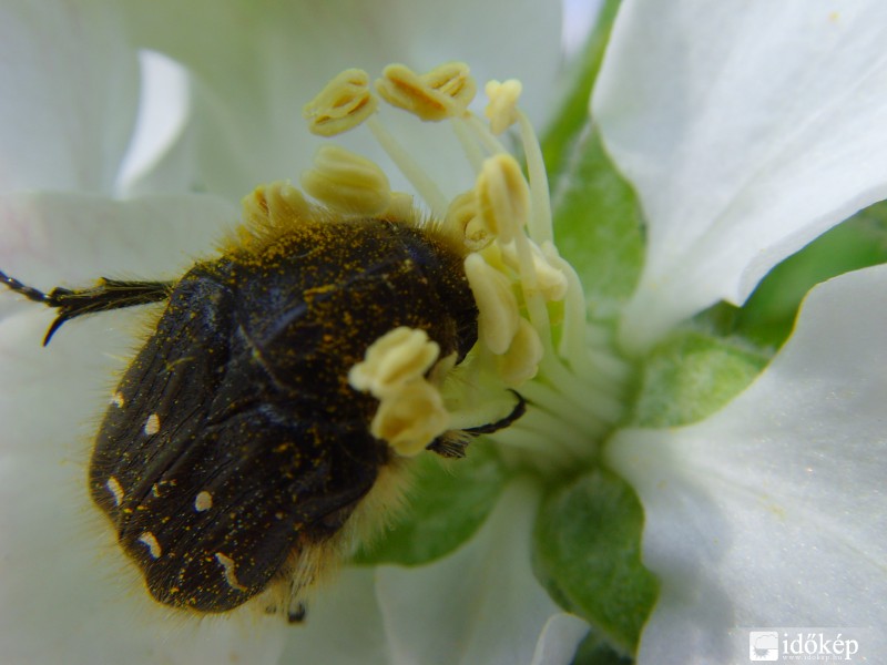 Ezt még megkóstolom