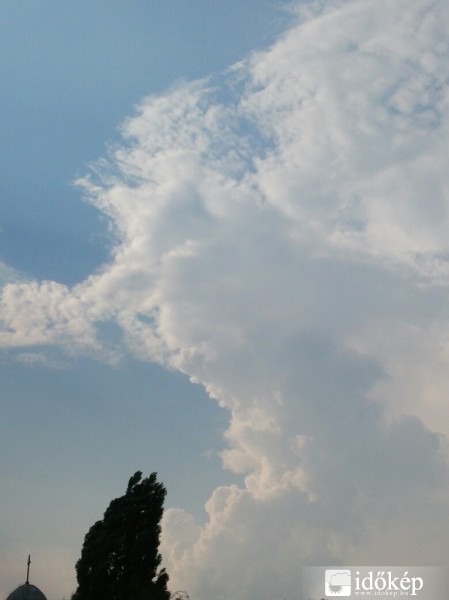 Észlelési fényképek