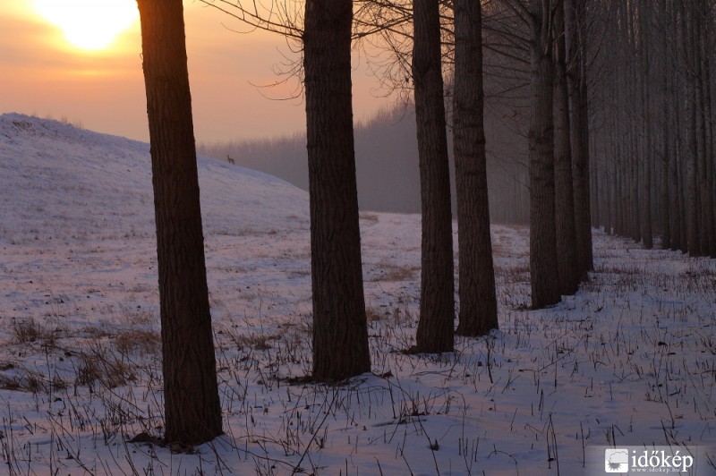 Tisza, gát Polgárnál