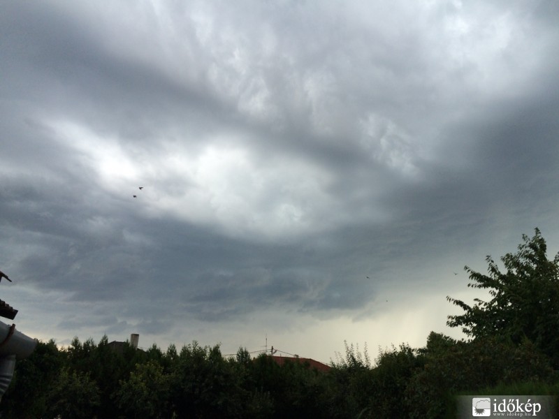 Észlelési fényképek