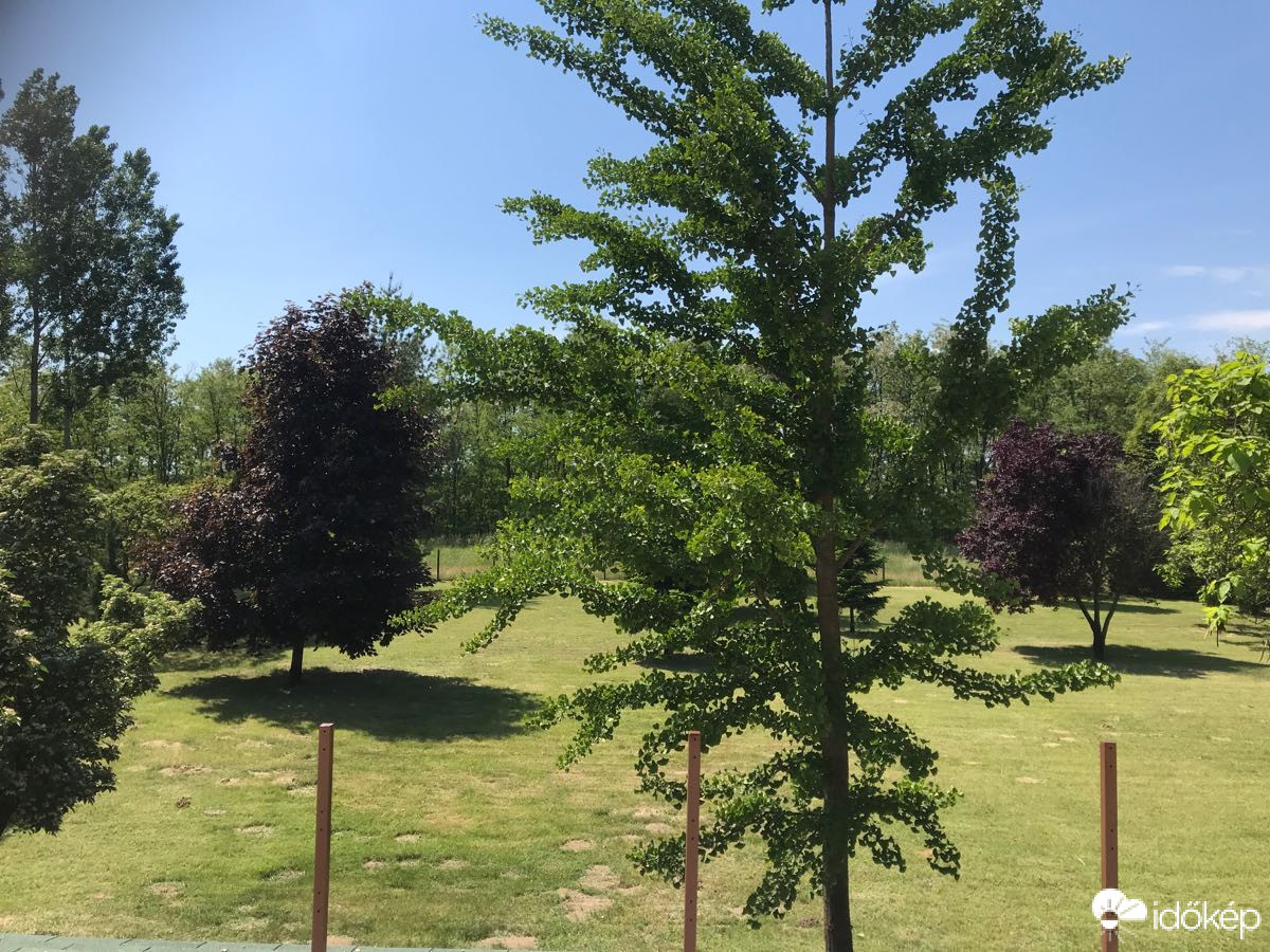 Észlelési fényképek