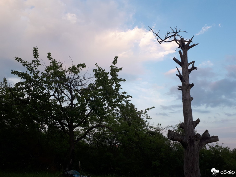 Észlelési fényképek