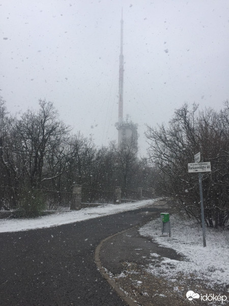 Észlelési fényképek