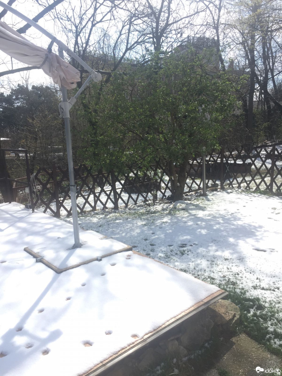 Észlelési fényképek