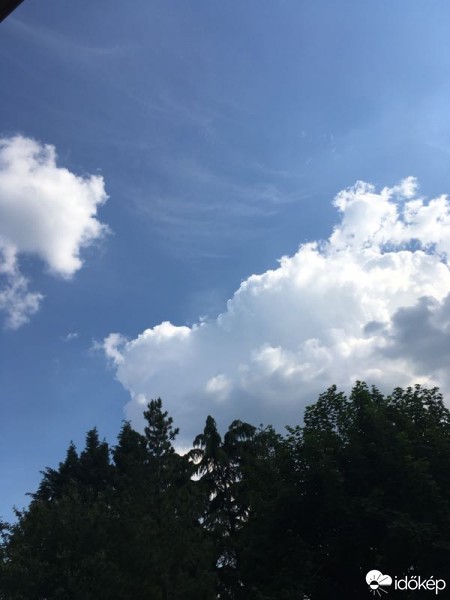 Észlelési fényképek