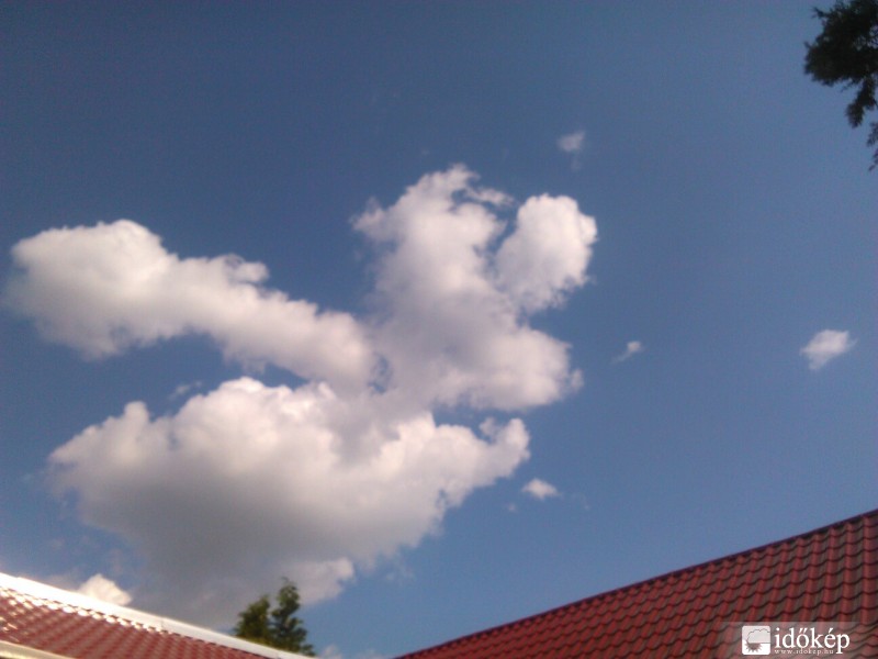 Észlelési fényképek