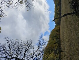 Parád