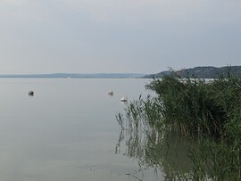 Balatonfüred