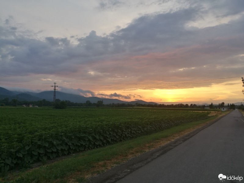 Észlelési fényképek