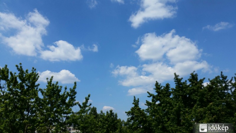 Észlelési fényképek