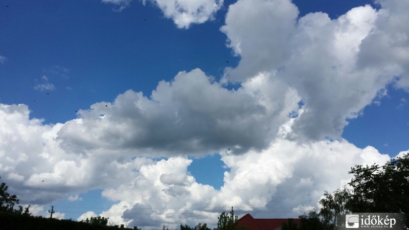 Észlelési fényképek