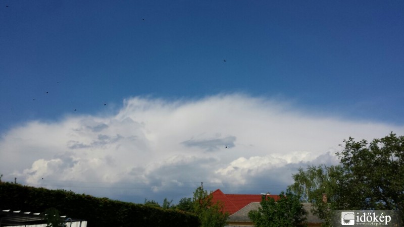 Észlelési fényképek