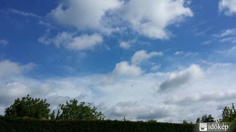 Észlelési fényképek