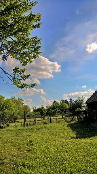 Öreglak