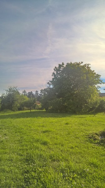 Öreglak