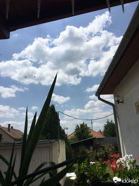 Észlelési fényképek