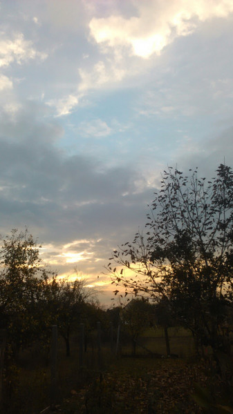 Püspökladány