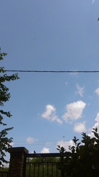 Észlelési fényképek