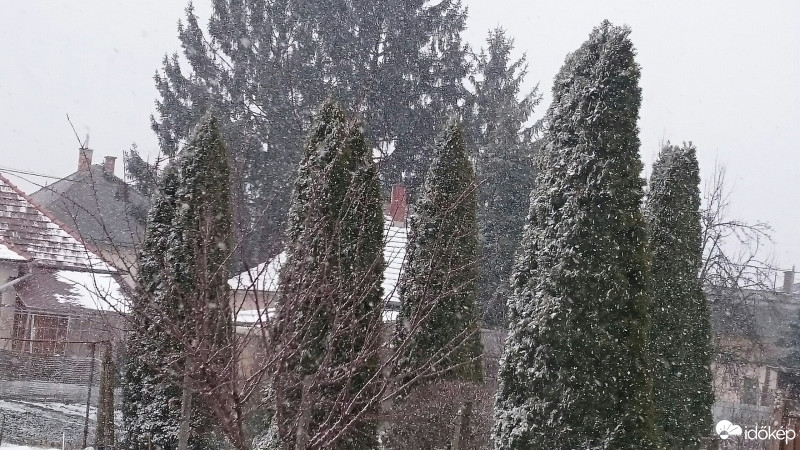 Észlelési fényképek