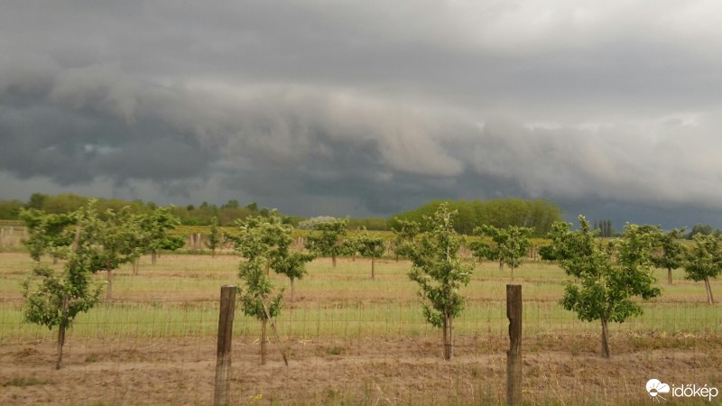 Észlelési fényképek