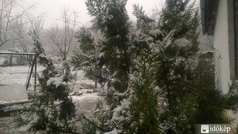 Észlelési fényképek