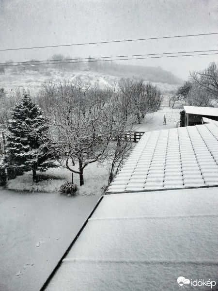 Észlelési fényképek